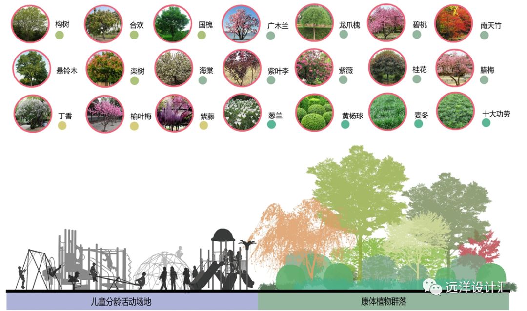 2,根据不同空间环境设计(1) 休闲型空间植物群落的设计配置嗅觉类