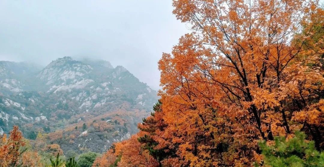 地址:北京市密云区新城子镇沙滩村雾灵西峰景区 交通路线:在东直门