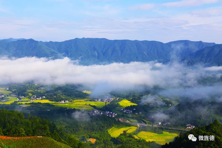 【"两山"基地建设】专访:③——旌德县俞村镇