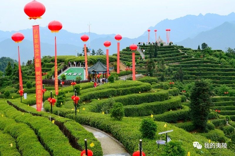 "三峡茶谷 茶旅小镇"项目由夷陵区政府,鄂旅投公司,萧氏茶业集团三方