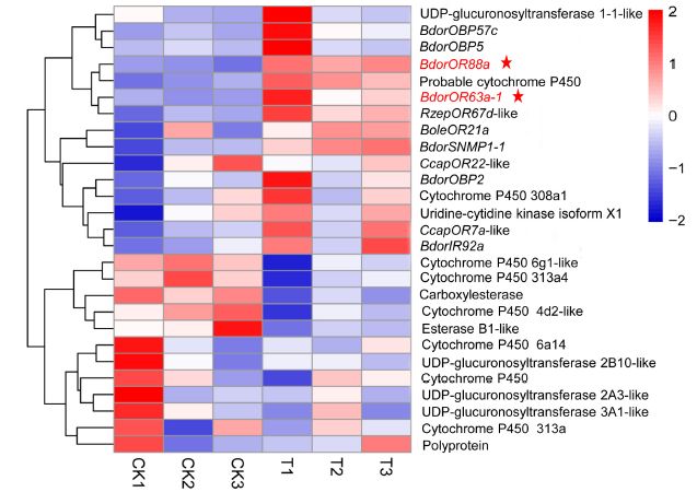 图8 嗅觉相关的差异基因丰度热图参考文献[1]hong w,zhang c z lu s