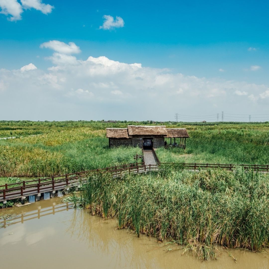 围垦湿地区域内湿地类型丰富,包括沿海滩涂杭州湾国家湿地公园总面积