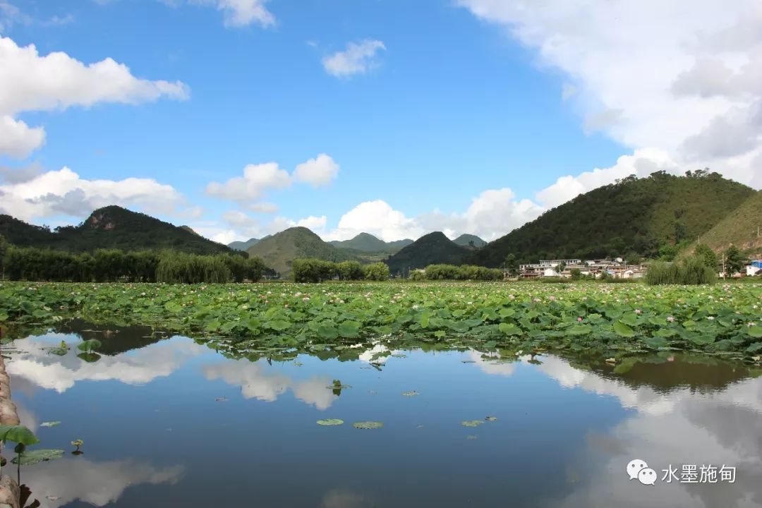 山邑湿地(野鸭湖)