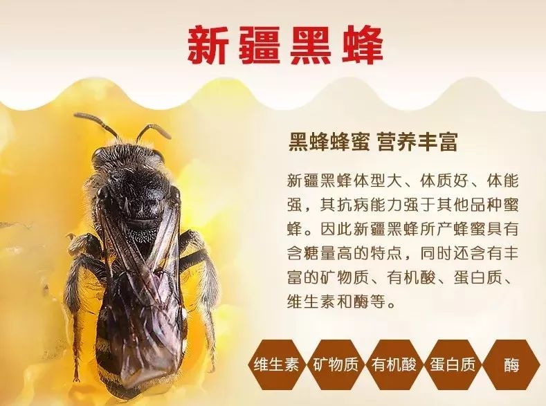 为什么不试试汤蜂子的黑蜂蜂蜜 做人的标准就是善良和诚信!