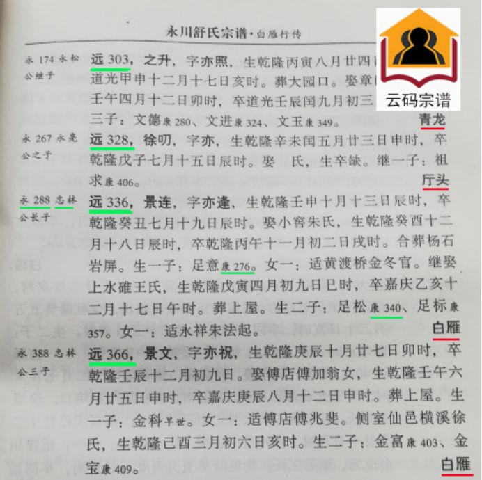 浙江省主流家谱版式