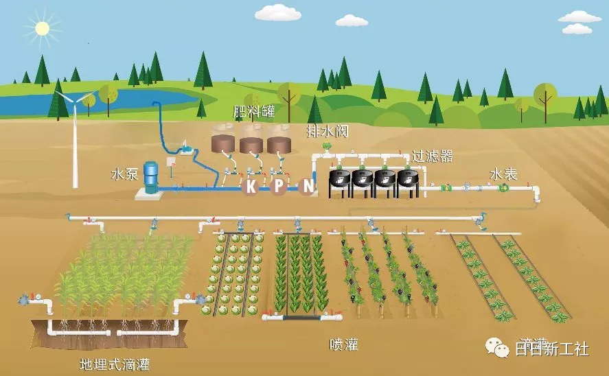 广西"ihave私家果园"运用水肥一体化技术,为基地内柑桔类产品的生长