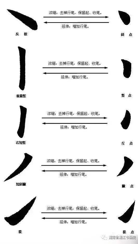 毛笔书法的8条笔画书写规律你学会了吗