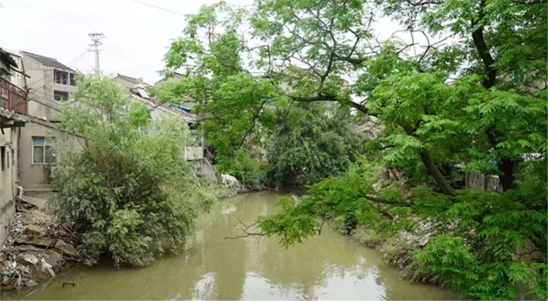 魏村当地至今还流传着这样一段民谣 德胜河,长又长 流域两岸鱼米乡