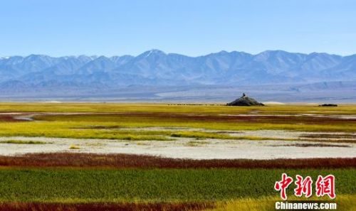 甘肃肃北草原色彩绚丽秋色宜人