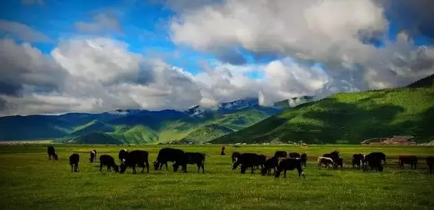 「世界第一村」竟然在雲南？我要去看看！ 旅行 第40張