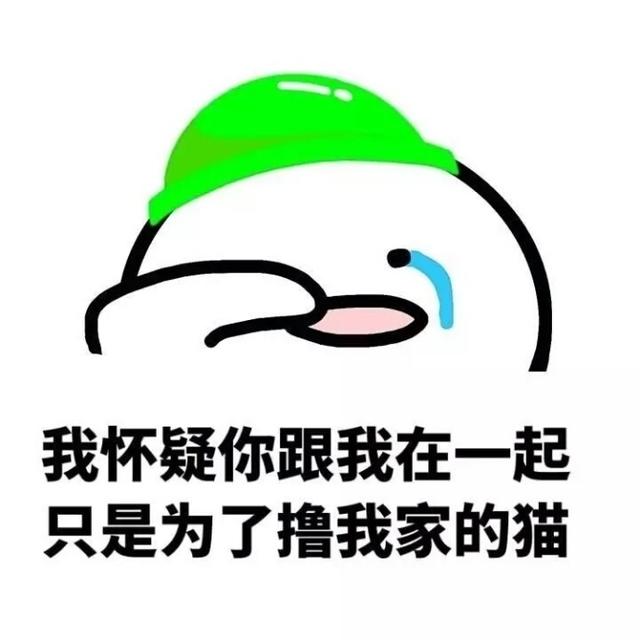 搞笑表情包:你根本就不爱我,你只是看上了我的表情包