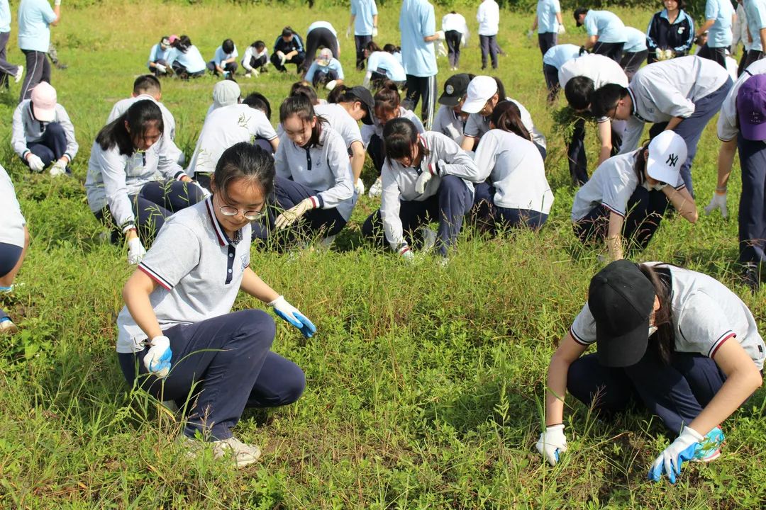 高二学生赴崇明岛学农社会实践(一)