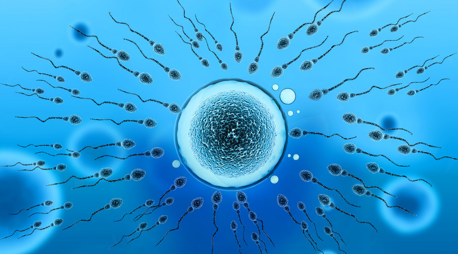 一天中的最佳受孕時間是什麼時候？無論卵子還是精子都最好 親子 第1張