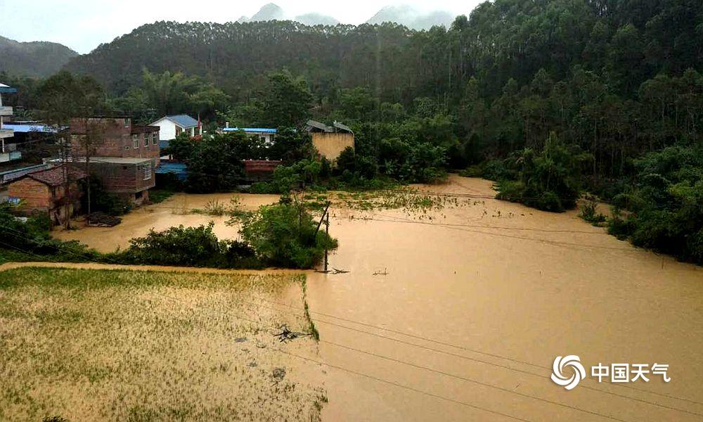 广西局地大暴雨 山体滑坡洪灾淹没农田厂棚