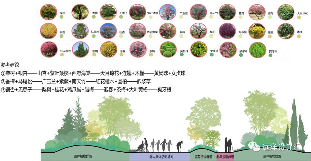 居住区康体保健植物设计初探