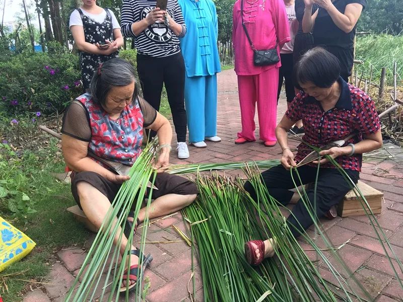 "老手艺人们一边割莞草一边回忆以前编织莞草的趣事.