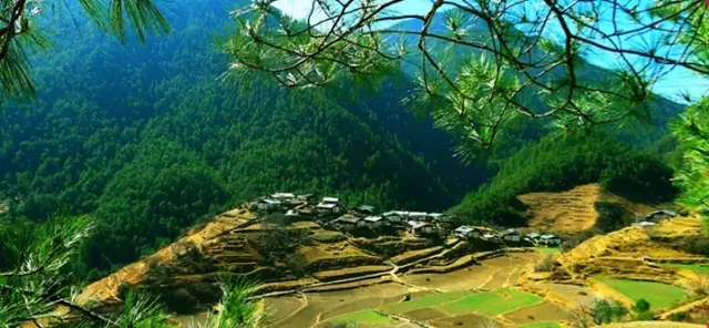 「世界第一村」竟然在雲南？我要去看看！ 旅行 第24張