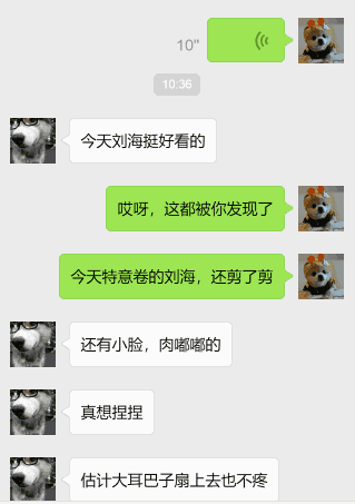 网友晒钢铁直男的聊天截图,笑出猪叫声!回复绝了,让人