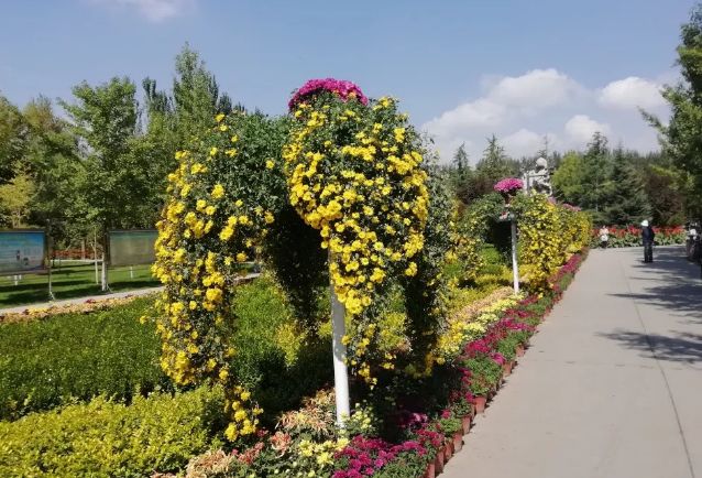 灯光,花卉扮靓金城,这个国庆长假兰州有点不一样哦