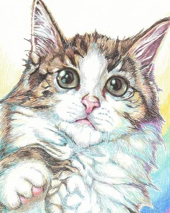 彩铅画的猫咪,可爱得过分了