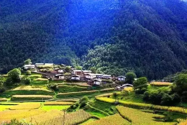 「世界第一村」竟然在雲南？我要去看看！ 旅行 第8張