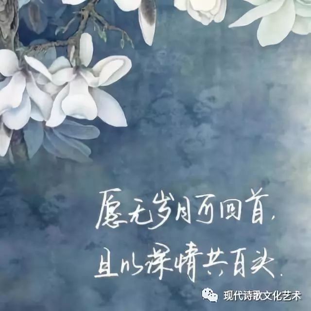 月浅灯深,岁月无恙.