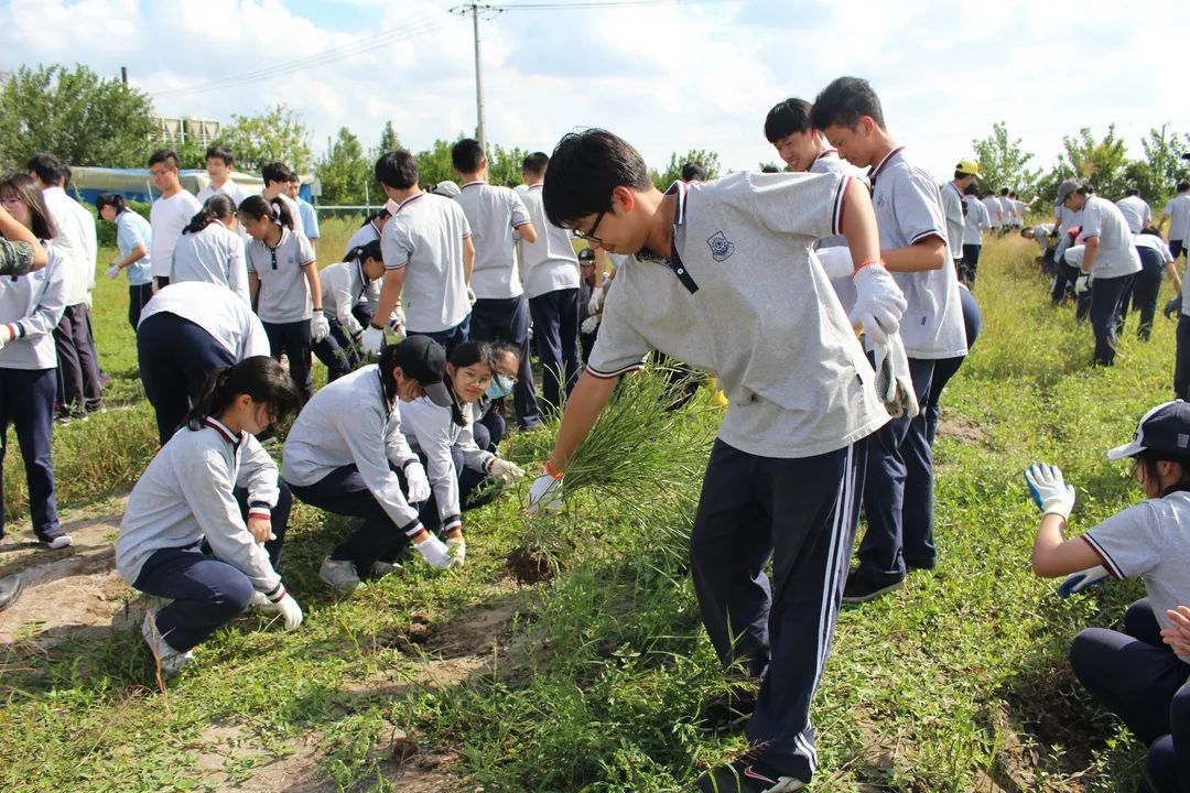 高二学生赴崇明岛学农社会实践(一)