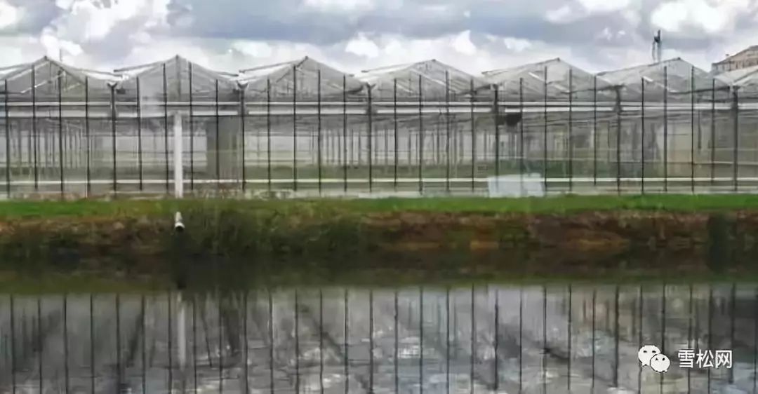荷兰高科技温室农业模式探究