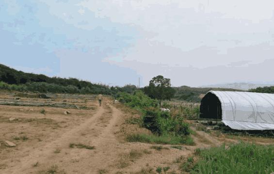 土地确权漏人口_国由土地人口军队领土