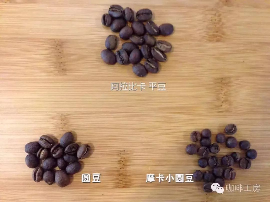 肯尼亚麒麟雅嘉咖啡产区慕咖雅咖啡豆 V60冲煮肯尼亚咖啡风味描述 中国咖啡网