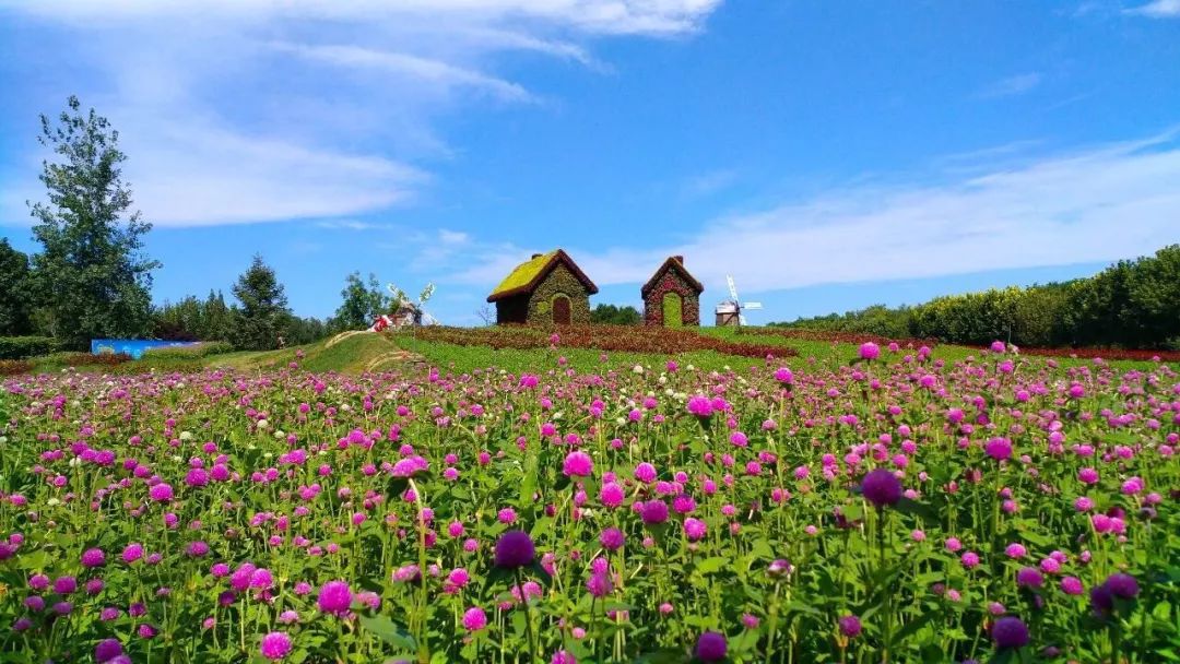 乐游| 国庆期间,顺义这9个地方一定要去