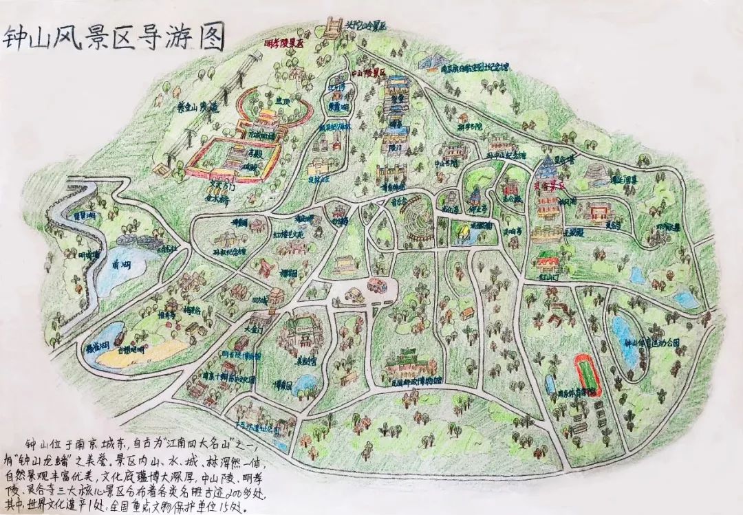 手绘钟山 805班 黄婧怡的手绘地图——钟山风景区导游图.