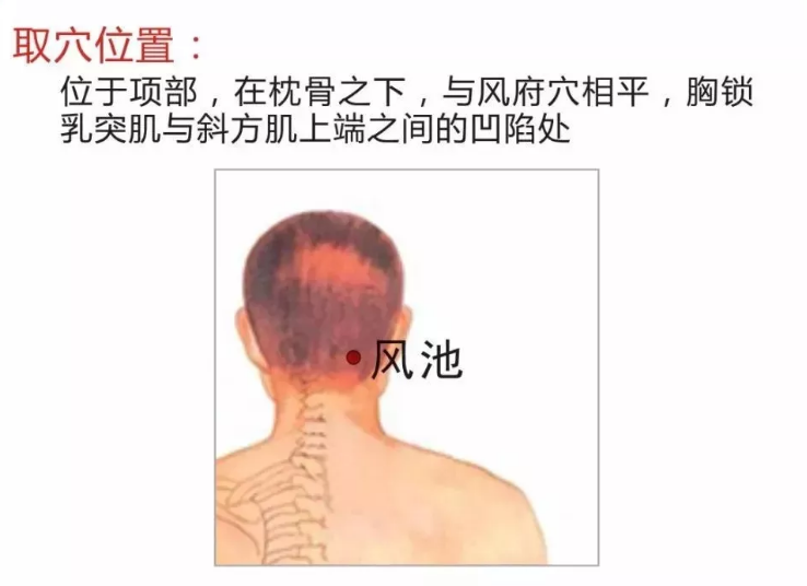 秋季感冒鼻塞,艾灸这四穴搞定!