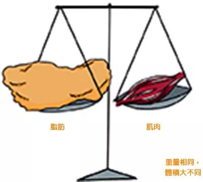 bandao注册网站：健身初学者必看！10个常见的健身迷思(图1)