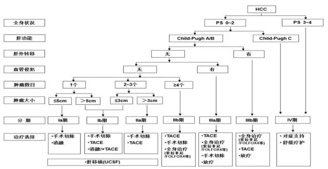 师胜杰和臧天朔同天去世 | 肝癌到底该如何诊疗_诊断