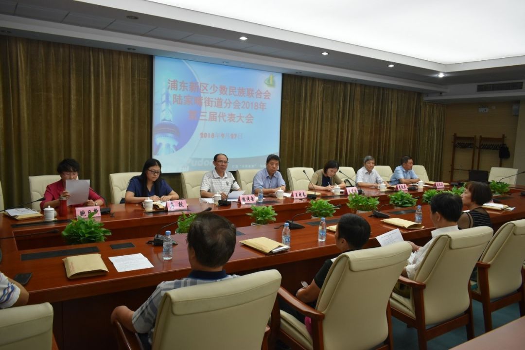 浦东新区民族联陆家嘴街道分会第三届换届大会顺利召开