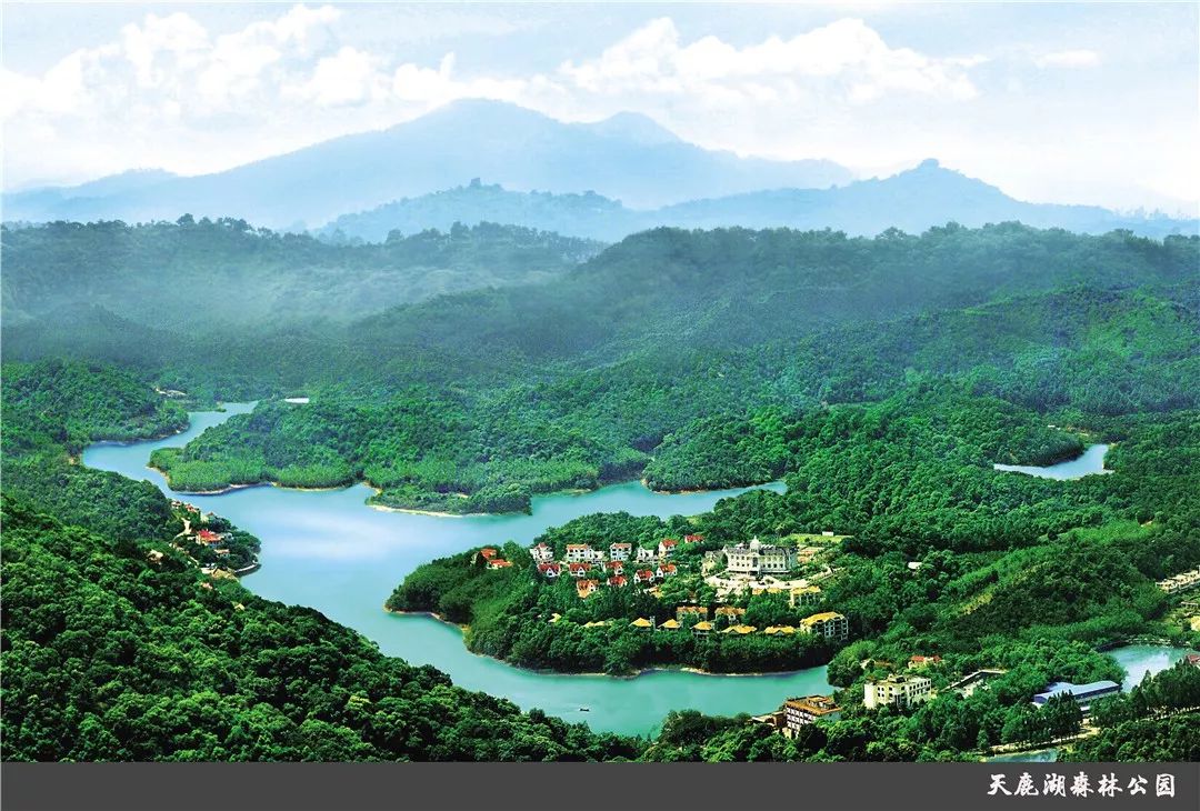 大咖 此外,还有图书馆,文化馆 这里还有萝岗香雪公园,天鹿湖森林公园