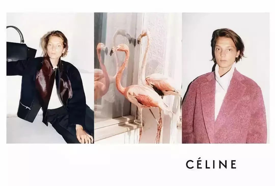 王菲爱的celine,变样了.