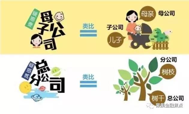 母公司、子公司、总公司、分公司?4张图讲