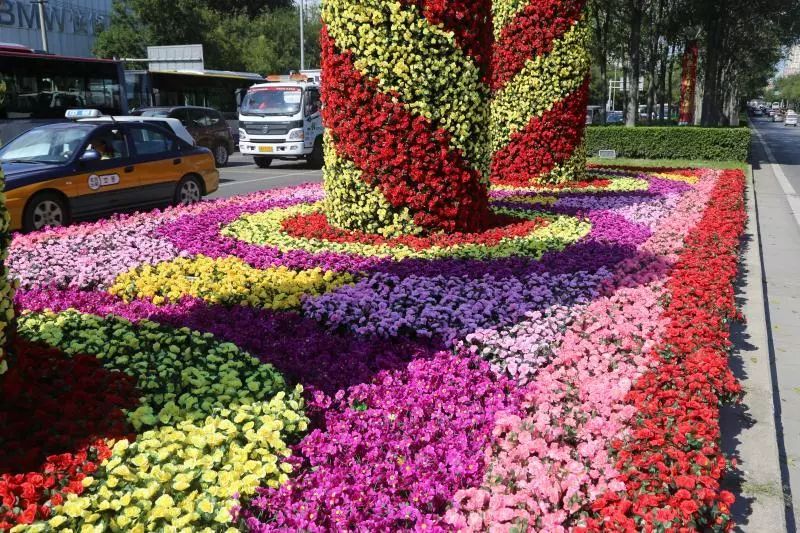 增添了浓浓的节日氛围一处处鲜艳的花坛造型学院路街道漫步至此就好像