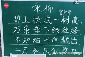 本周粉笔字书写内容为《咏柳,钢笔字内容自定.