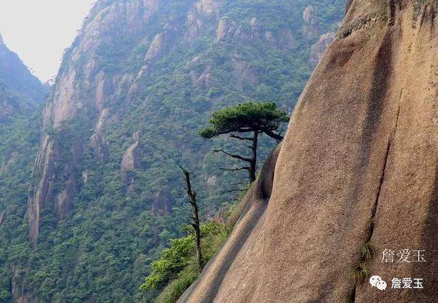 网络人口上饶_上饶地图