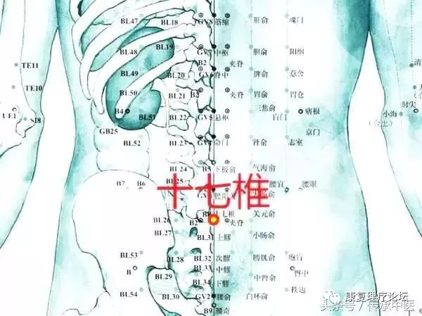 针灸通过什么原理散寒_针灸图片