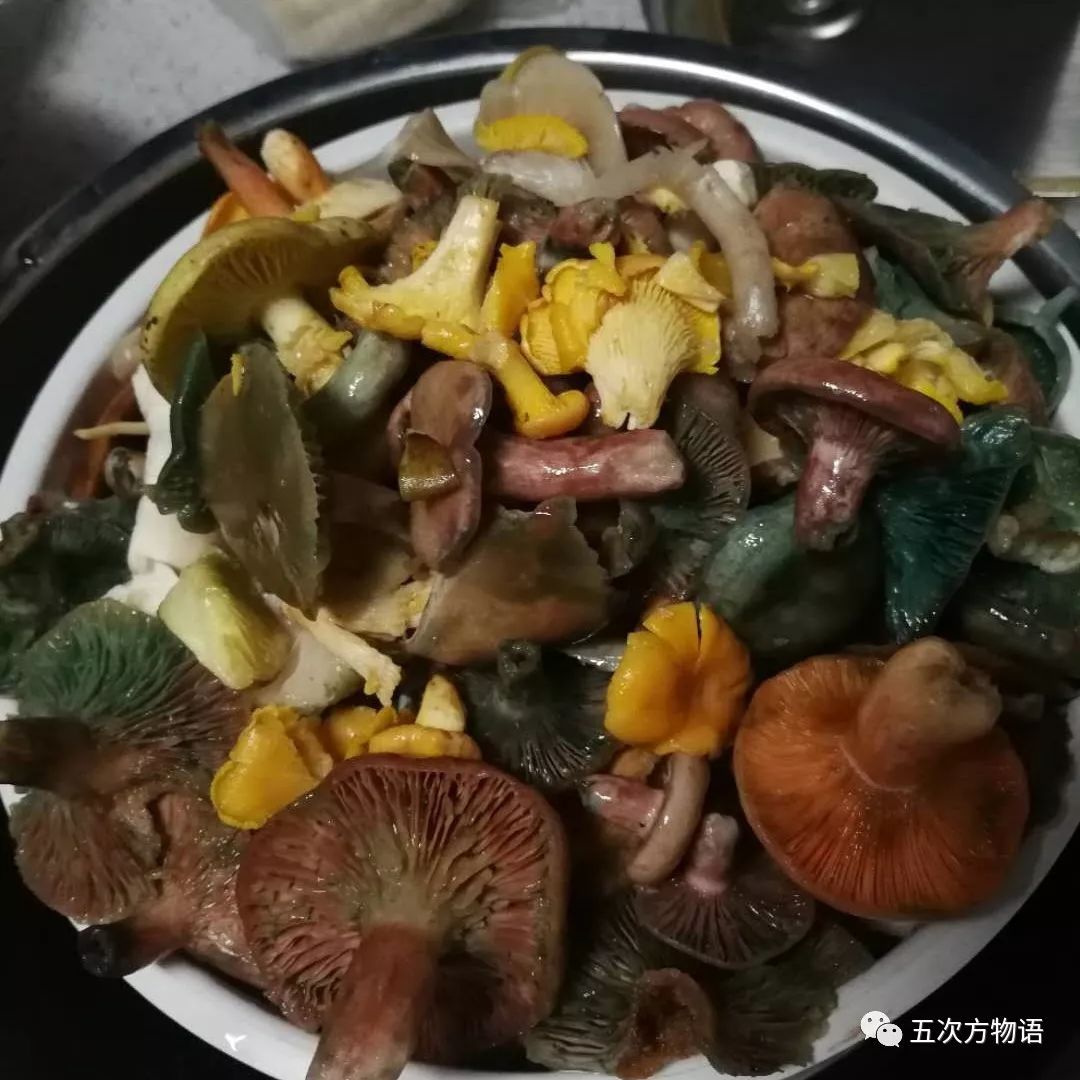 中国美味蘑菇，中国美味蘑菇是真的吗