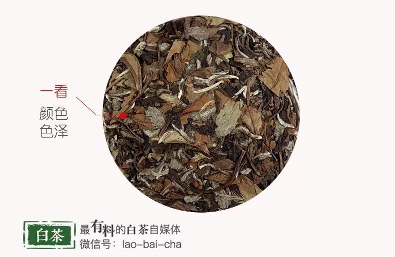 一看 ① 老白茶的茶饼颜色会比老白茶的颜色深一些.