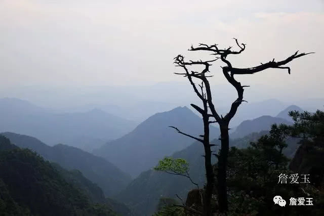 网络人口上饶_上饶地图