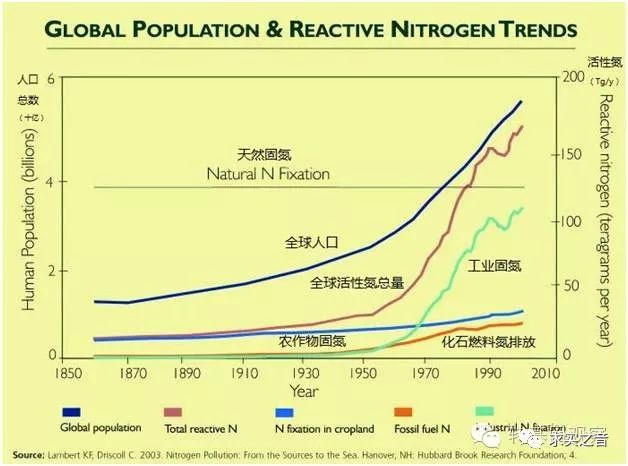 惰性人口_免费照片惰性