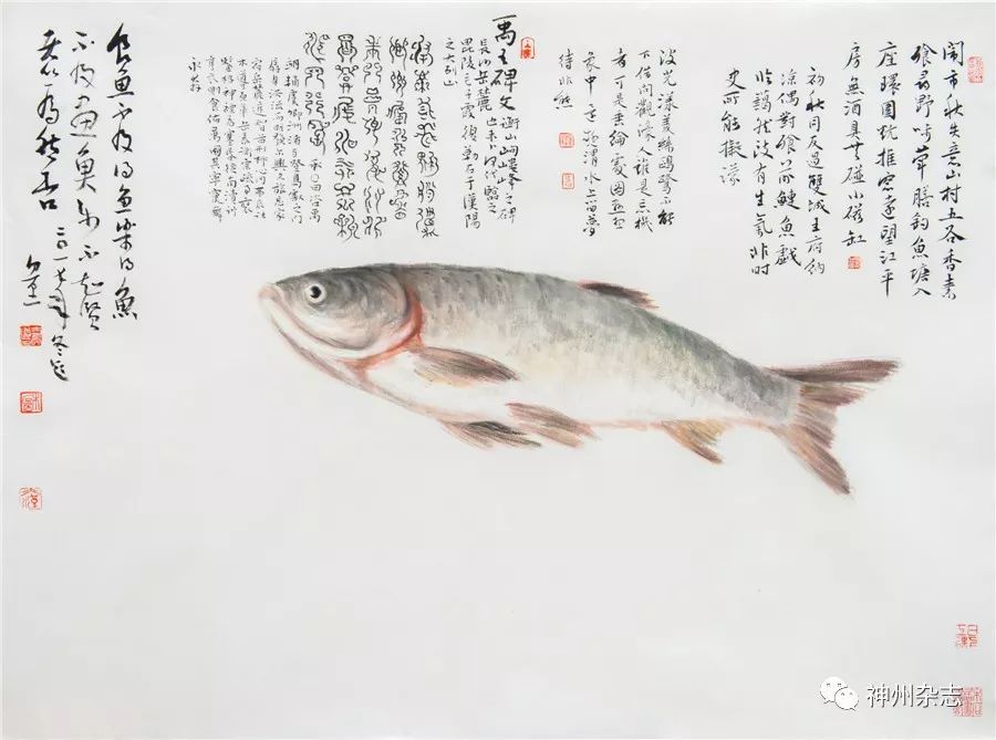 96 白方亮作品《鲢鱼图 95cm×70cm以书入画,气韵之中有真章