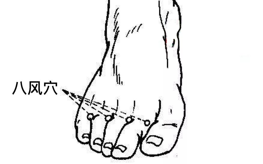 位置:八风穴于人体5个脚趾间的缝纹端取之,左右各4穴(见下图).