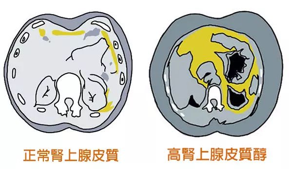 bandao注册网站：健身初学者必看！10个常见的健身迷思(图4)